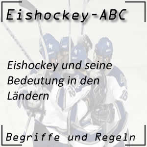 Bedeutung des Eishockeysports