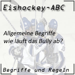 Eishockey Bully