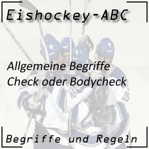 Eishockey Begriffe Check Bodycheck