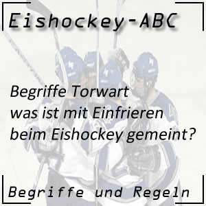 Eishockey Begriffe Einfrieren des Puck