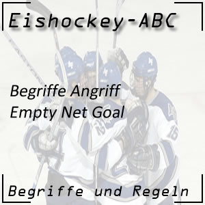 Eishockey Begriffe Empty Net Goal