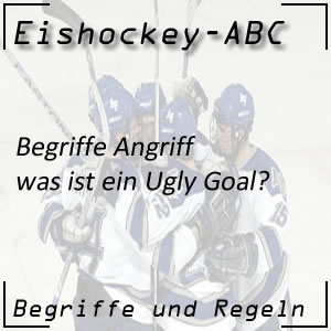 Eishockey Begriffe Ugly Goal