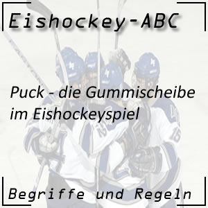 Eishockey Puck oder Gummischeibe