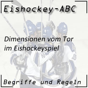 Eishockey Tor und seine Dimensionen