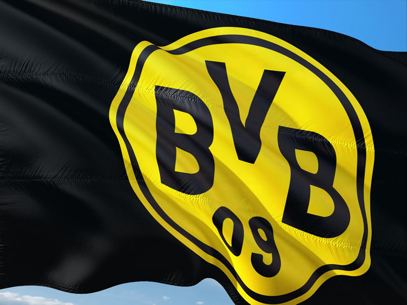Flagge des BVB