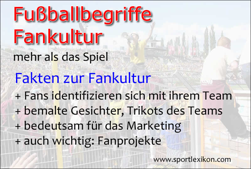 Fankultur im Fußball