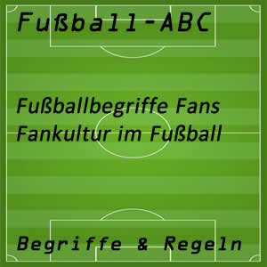 Fankultur im Fußballsport