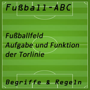 Fußballfeld Torlinie Funktion