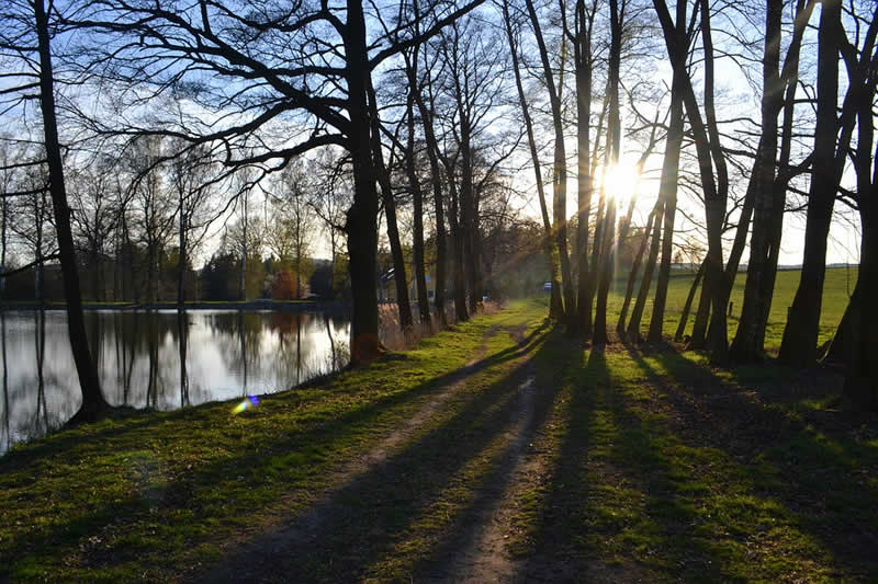 Sonnenlicht hilft beim Vitamin D-Haushalt