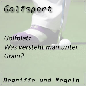 Grain am Grün des Golfplatzes