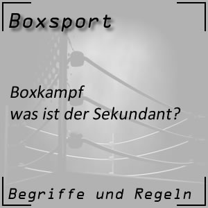 Boxkampf Sekundant