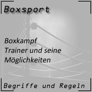 Boxkampf Trainer