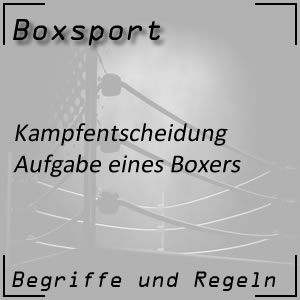 Boxen Aufgabe