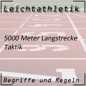 Laufen 5000 m Taktik