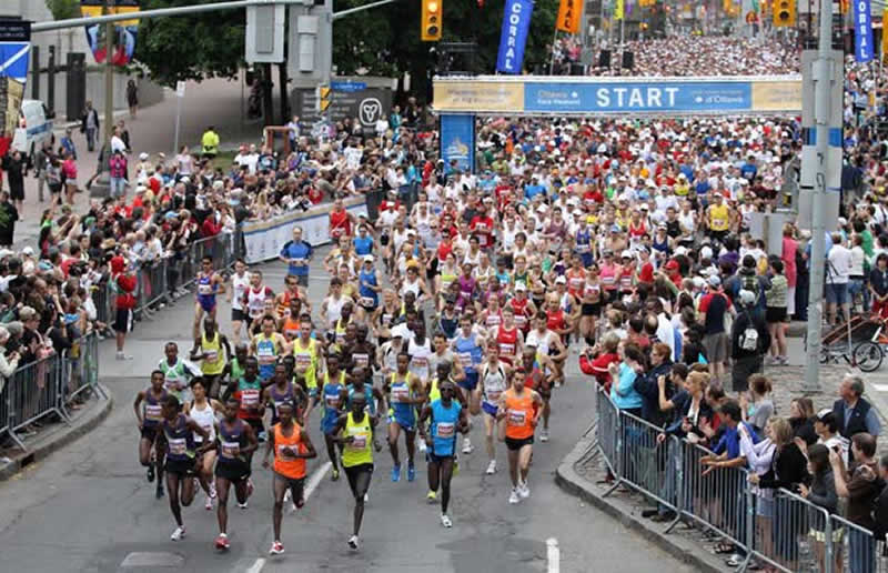 Profis und Amateure beim Marathonlauf am Start