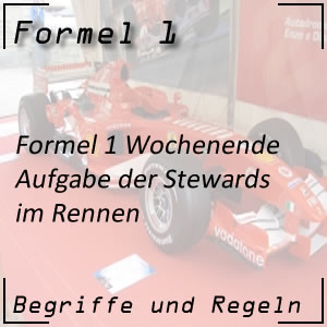 Formel 1 Stewards