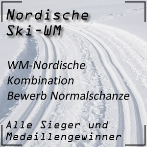 Nordische Ski-WM Nordische Kombination Normalschanze