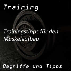 Trainingstipps für den Muskelaufbau