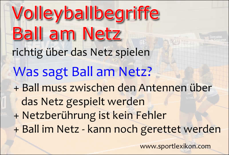 Spielregeln bei Ball am Netz im Volleyball