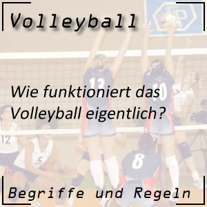 Volleyball