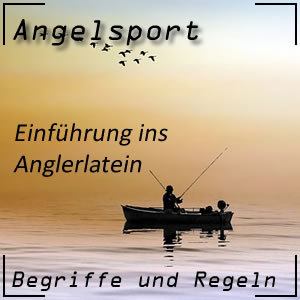 Begriffe zum Angelsport